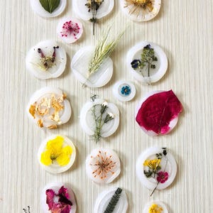 17 Adesivi con sigillo di ceralacca. Fiori e foglie veri. Natural. Sigilli per le feste, matrimoni, inviti, diari, regali.