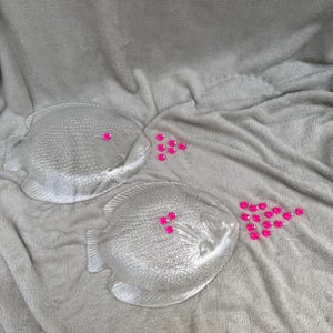 French Riviera Vibes: 1970s Clear Fish Platters by Arcoroc - set of 2 Elegant Vintage Dinner Plates