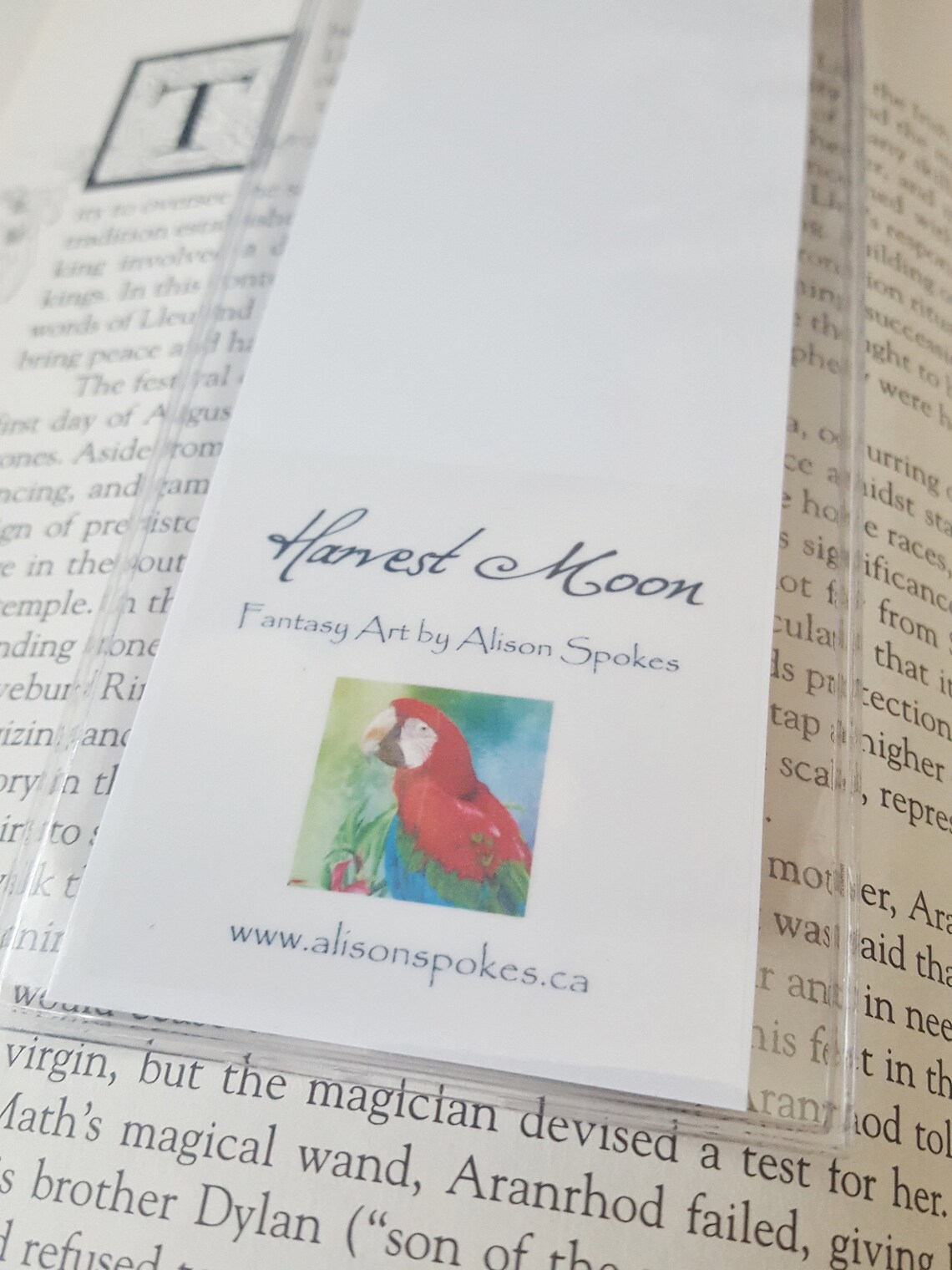 Bookmark Rainbow Fairy Harvest Moon - Etsy
