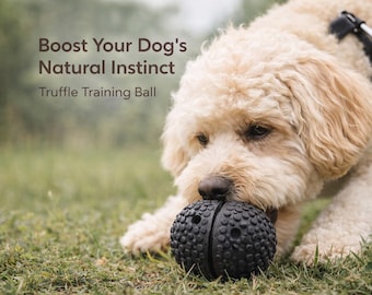 Giocattolo per l'addestramento al tartufo per cani | Giocattolo per l'addestramento olfattivo del cane | Giocattolo per il lavoro olfattivo | Addestramento del cane alla ricerca del tartufo | Giocattolo per la stimolazione mentale