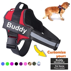 Harnais personnalisé pour chien, anti-traction, réfléchissant et respirant. Gilet ajustable pour chiens de petite et grande taille, idéal pour les promenades et l'entraînement en extérieur.