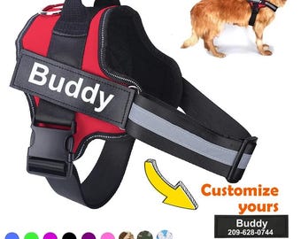 Arnés personalizado para perros, antitirones, reflectante, transpirable, chaleco ajustable para perros pequeños y grandes, ideal para paseos y entrenamiento al aire libre.