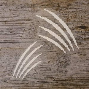 Può includere: Decalcomanie bianche con segni di artigli su una superficie di legno stagionato. Le decalcomanie sono disposte in due serie di tre e quattro linee parallele, suggerendo un effetto di strappo o graffio. Il legno ha una combinazione di colori grigio e marrone.