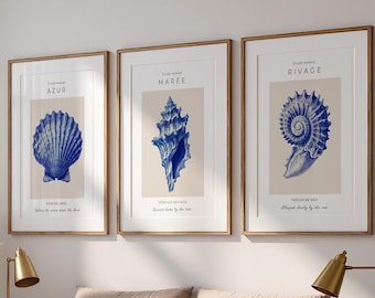 Juego de 3 láminas decorativas vintage con conchas marinas azules, estampados costeros franceses, decoración para casas de playa, láminas náuticas (descarga digital)