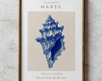 Decoración de pared con conchas marinas azules, láminas costeras vintage, decoración náutica para casas de playa, arte costero francés.