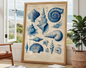 Cuadro decorativo vintage de conchas marinas azules, decoración de baño costera, ilustración de historia natural francesa, imprimible digitalmente.