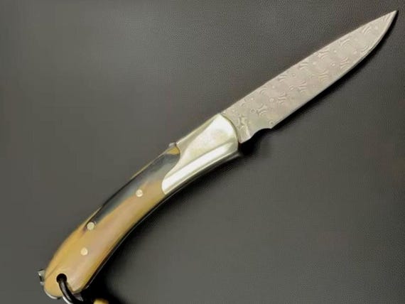 Handmade Jakob's Damascus VG-10 Folding Knife, Resin Handle