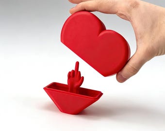 Heart with Middle Finger, Funny Gag Gift, 3D Printed Heart, Valentines Day Gift for Him Boyfriend Husband, Prank Gift for Her
