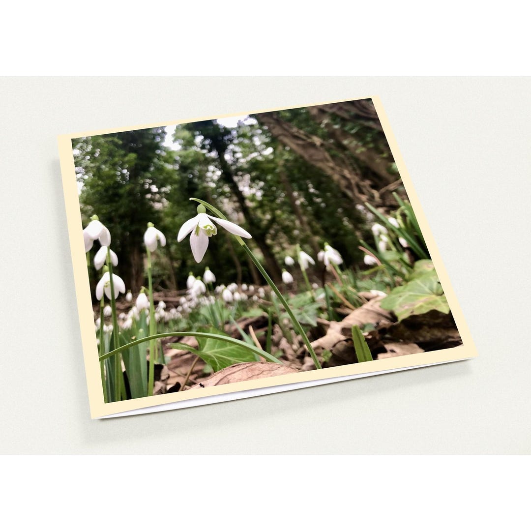 10 Snowdrops Spring Greeting Cards With Envelopes (US/CA) - Etsy