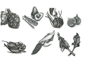 May include: Black and white illustration of various vegetables. The image includes artichokes, asparagus, an avocado, a beet, figs, a dragon fruit, corn, and beet greens. The vegetables are drawn in a detailed, realistic style.