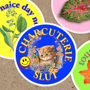 Ensemble d'autocollants humour Internet charcuterie salope autocollant ironique étanche amis cadeau cadeau drôle autocollant idiot sticker bouteille d'eau pour ordinateur portable