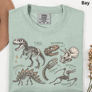 May include: A light green t-shirt featuring a graphic print of various dinosaur skeletons including a T-Rex, Velociraptor, Triceratops, Stegosaurus, Sauropod, and Pterodactyl with their names labeled in brown text. The shirt has a Comfort Colors brand tag.