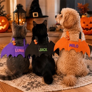 Personlig Halloween-present till husdjur, unik fladdermusvingedräkt med namn, unik katt- och hunddräkt, Halloween-fotorekvisita