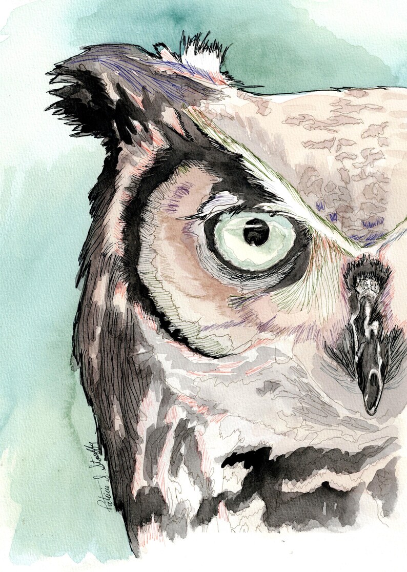 Washed Owl Watercolor Owl Print, Ink Illustration, Wildlife Portrait (digital ...