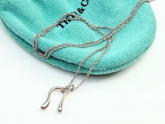 Tiffany & Co Silver Medium Peretti Alphabet Letter "N" Necklace JR1373