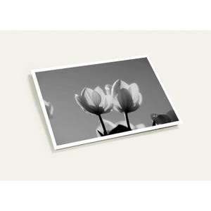 Opbeurende tulpenkaarten - set van 10 bemoedigende wenskaarten voor moeilijke tijden - gepersonaliseerde boodschap binnenin