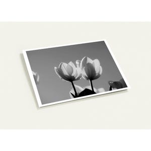 Uplifting Tulip Cards - Set of 10 Encouraging Greeting Cards for Difficult Times - Personalized Message Inside