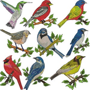 Puede incluir: Colección de diseños de aves bordadas en varios colores, incluyendo rojo, azul, verde y amarillo. Cada ave está posada en una rama con hojas verdes. Las aves están en diferentes poses, algunas en vuelo y otras inmóviles.