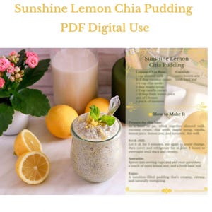 Vegan Lemon Chia Pudding Recipe | Healthy Dessert | Plant-Based Breakfast & Snack PDF