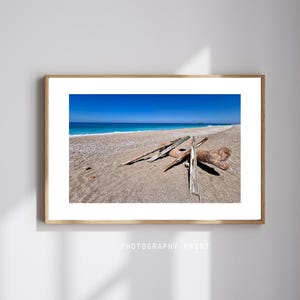 Driftwood on a Beach Wall Art | Coastal Photography Print | Seaside Landscape | Calm Shoreline Scene | Digital Download