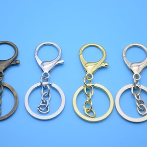 10 keychain with lobster clasp,key ring with clasp,keychain hook,split ring,key holder,clasp clip,key ring clasp,charms keychain