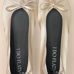 sachin and babi light blue dress Champagne Dress With Black Shoes Champagne Bridesmaid Dresses What Color  Shoes To Wear With main image 1