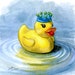 cpatellaro reviewed Rubber Ducky, King of the Bathtub, Duck Art, Bathroom Art, Nursery Wall Art print 5x5, 8x8, 11x11