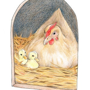 Foster Mother Hen with her Ducklings, Farm Animal Drawing, Nursery Wall Art Print, Print Sizes 8x10, 11x14 image 1