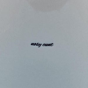 Puede incluir: Superficie azul claro con las palabras "nosy cunt" en negro, con una fuente cursiva. El texto est&aacute; centrado y el fondo es de color azul claro uniforme.