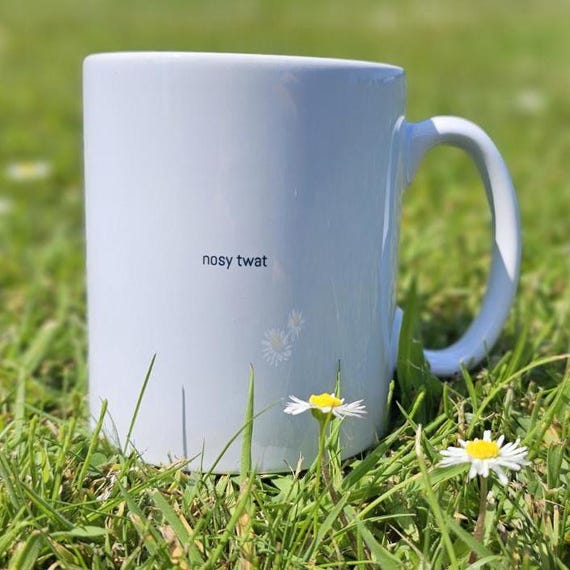 Dark Humour Mug – “Nosy Twat” Small Text. 11oz Coffee Cup | Rude Gag Gift for Coworkers, Friends | Sarcastic British Humour Gift Mug