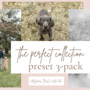 May include: A promotional image featuring a family walking in a park, a puppy, and a young girl. The text reads "the perfect collection preset 3-pack" with "muted greens, B&W, & film look" below. The image has a soft, pastel color palette.