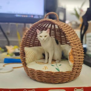 Könnte beinhalten: Eine weiße Katze mit schwarzen Flecken sitzt in einem geflochtenen braunen Korb. Der Korb hat einen Griff und ein gemustertes Kissen. Die Katze mit gelben Augen steht im Mittelpunkt und schafft ein gemütliches Haustierzubehör. Der Korb hat etwa 25 cm Durchmesser.