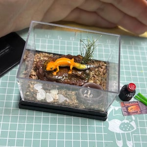 Może przedstawiać: Miniaturowe terrarium z pomarańczowo-żółtą figurką gekona. Przezroczysta plastikowa obudowa stoi na czarnej podstawie i zawiera małą skałę, żwir i źdźbło trawy. Mała butelka i miniaturowa reklama znajdują się obok terrarium.
