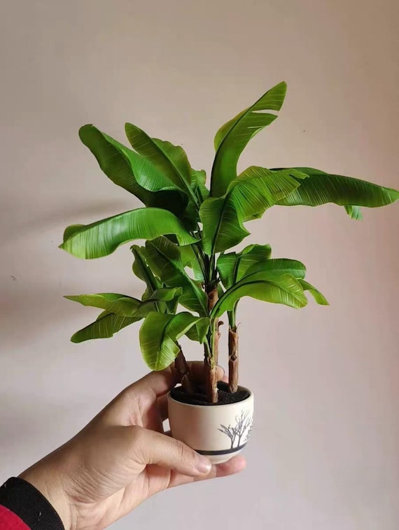 Miniature Plants/artificial Tropical Plants/handmade Clay Plants