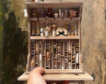 1/6 schaal miniatuur poppenhuismodel display/fossiele display/kast/plank/opbergplanken/bijzetkast