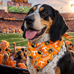 Collegiate/Dog bandana/ Reversible/Collegiate/TN/Alabama/Vanderbilt /KY /Clemson/Ole Miss/Florida State/Personalized/ Custom