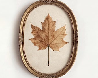 Maple leaf art print, Vintage botanical wall decor, Neutral autumn foliage picture, Rustic farmhouse nature aesthetic,Cozy home gallery gift