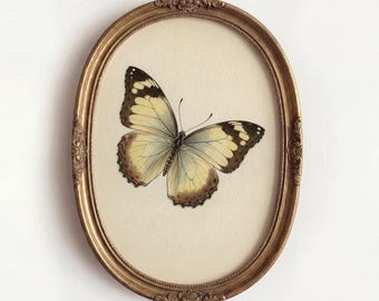 Vintage Butterfly Art Print, Muted Cream Nursery Wall Decor, Neutral Nature Illustration, Shabby Chic Bedroom Poster Digital Download