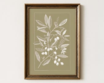Vintage Olive Branch Sketch - Muted Sage Green Botanical Wall Art - Rustic Farmhouse Decor - Antique Plant Illustration Print