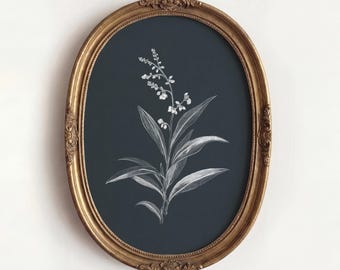 Botanical Wildflower Sketch Print, Dark Grey Floral Wall Art, Minimalist Nature Drawing, Vintage Herbarium Illustration, Cottagecore Decor