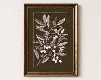 Moody Olive Branch Art Print, Antique Botanical Sketch, Dark Woodcut Drawing, Vintage Mediterranean Wall Decor, Printable Digital Download