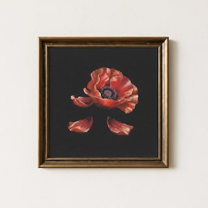 Röd vallmo, stämningsfull oljemålning, mörk botanisk stilleben, vintage blommig väggkonst, rustik fin blomma digital affisch, estetisk heminredning