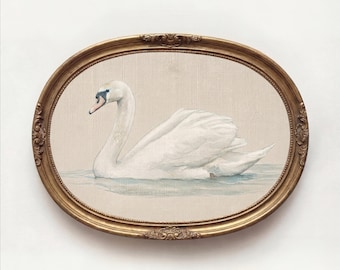 Swan Print, Vintage Swan Wall Art, Antique Bird Illustration, Cottagecore Decor, Elegant Waterfowl Artwork, Nature Gift, Heritage Style Art