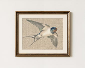 Watercolor Swallow Bird Canvas Painting, Vintage Nature Wall Art, Rustic Farmhouse Decor, Neutral Country Bird Poster, Digital Download