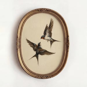 Lámina vintage de golondrinas: Boceto minimalista de naturaleza antigua. Arte mural neutro para una galería atemporal o un interior rústico de granja.