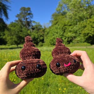 Poop plushie/ silly gift/ happy and angry poop/ amigurumi poop/ stuffed toy/ Prank/ amigurumi/ gift