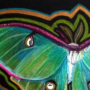 Original Luna Moth Illustration – Actias Luna Drawing – One of a Kind Insect Art – Nature Wall Decor