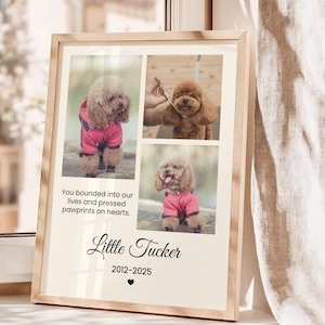 Foto personalizzata per animali domestici, ricordo per animali domestici, regali personalizzati per la perdita di un animale domestico, regalo di condoglianze, stampa personalizzata per animali domestici, regalo per amanti degli animali, regalo per la casa, amante degli animali