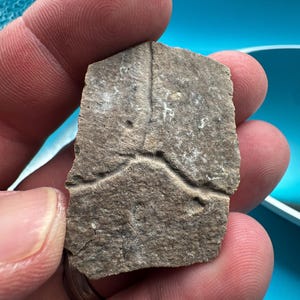 May include: A flat, irregularly shaped piece of brown, textured stone featuring a distinct Y-shaped groove etched into its surface. The stone has a rough, weathered appearance with subtle variations in color and a slightly jagged, uneven edge.