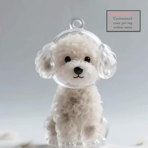 Cute Pet Fur keepsake Keychain, a container filling with dog and cat hair, Memorial Dog Cat Gift, Personalised tag, Cute cat, Cat Lover Gift